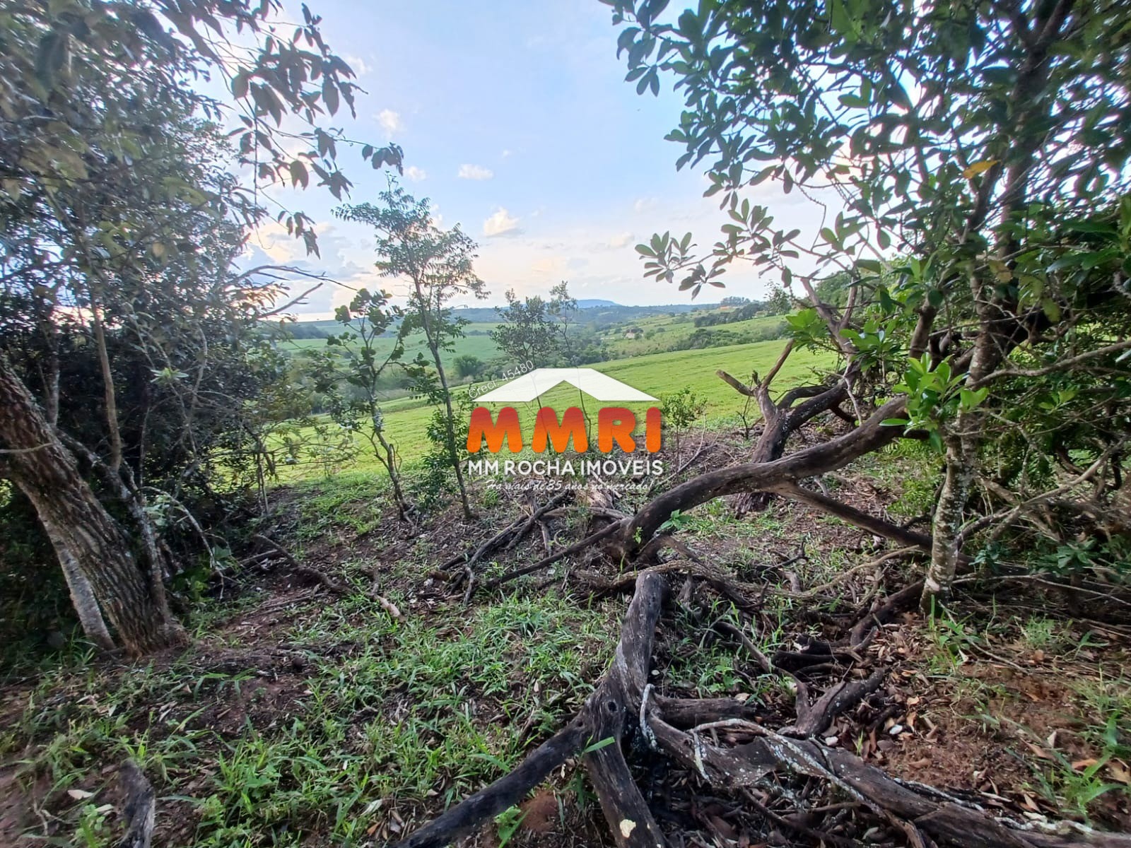 Haras e Área Rural Padrão à venda, 55000m² - Foto 24