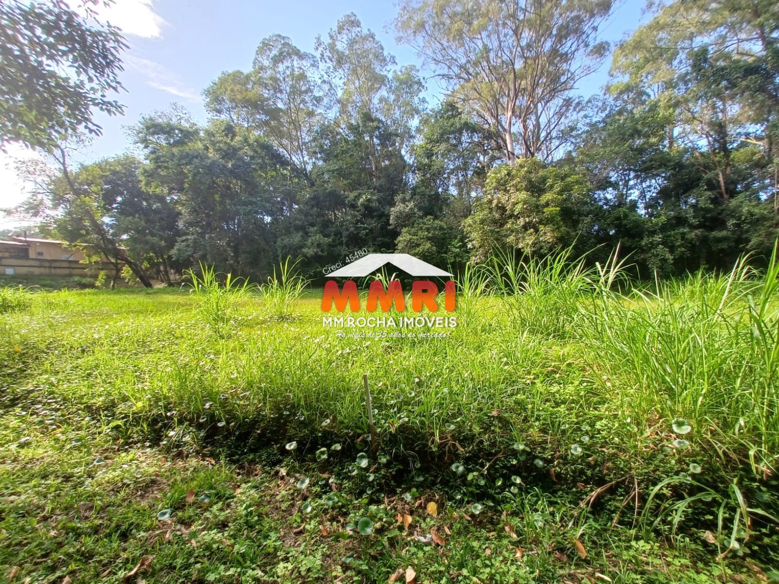 Terreno, 2500 m² - Foto 1