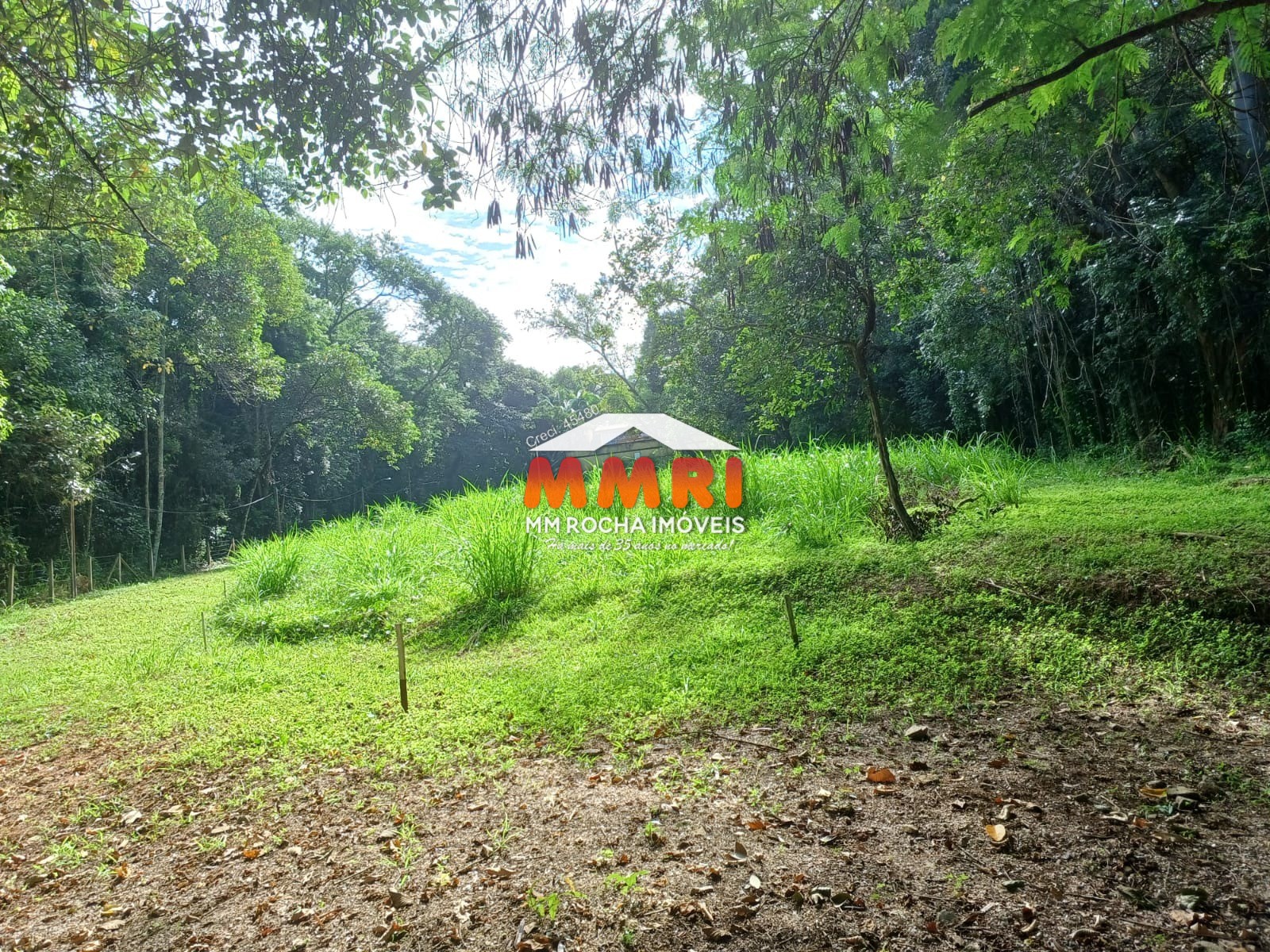 Terreno, 2500 m² - Foto 4