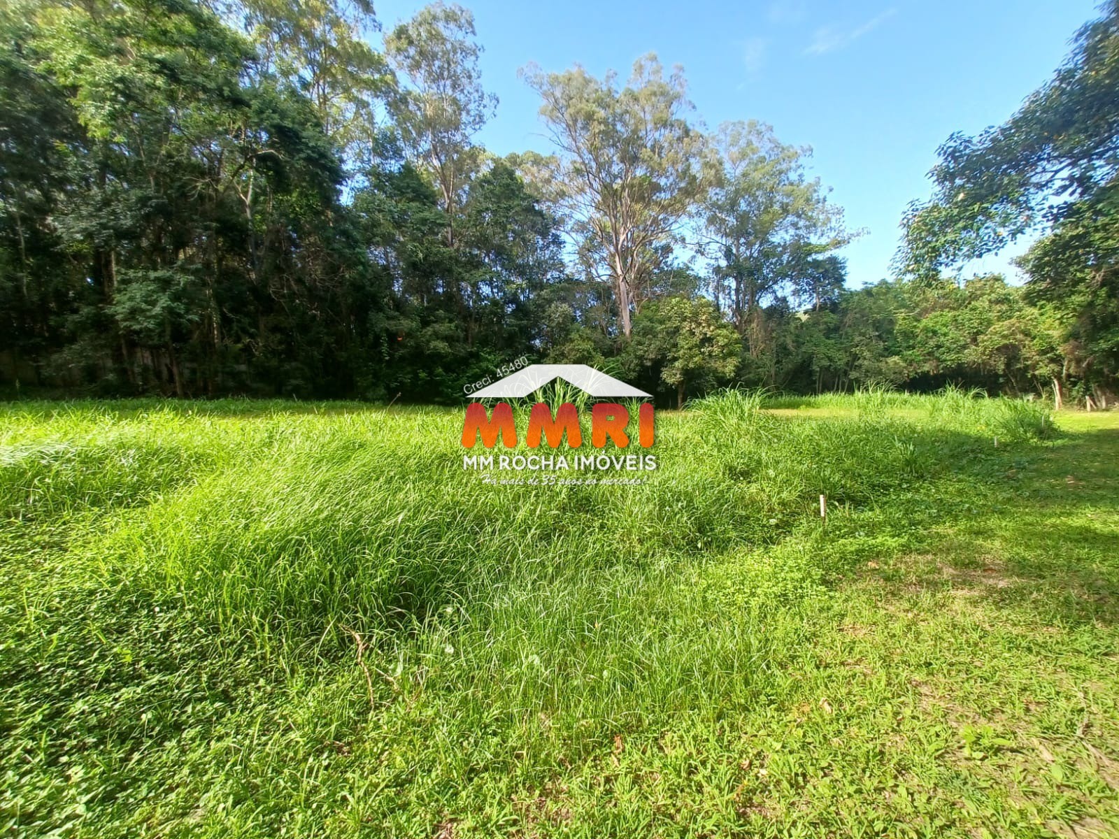 Terreno, 2500 m² - Foto 2