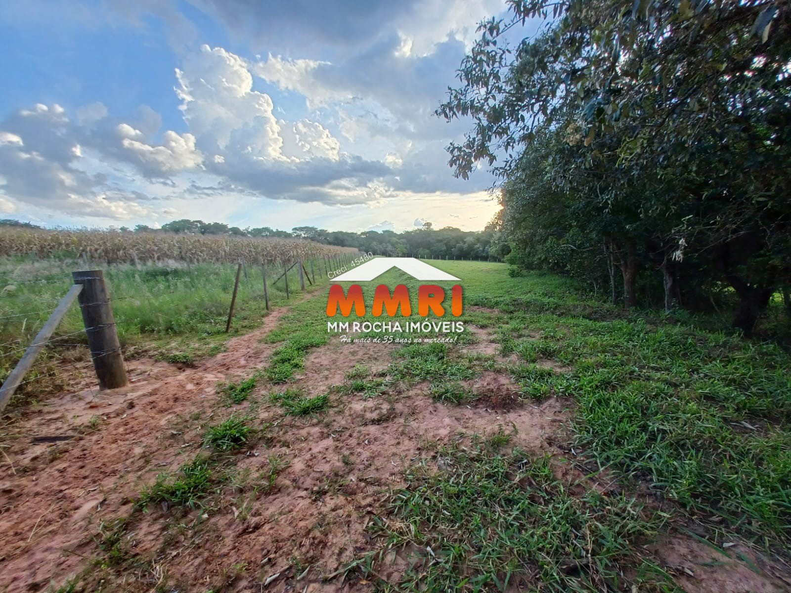 Haras e Área Rural Padrão à venda, 55000m² - Foto 23