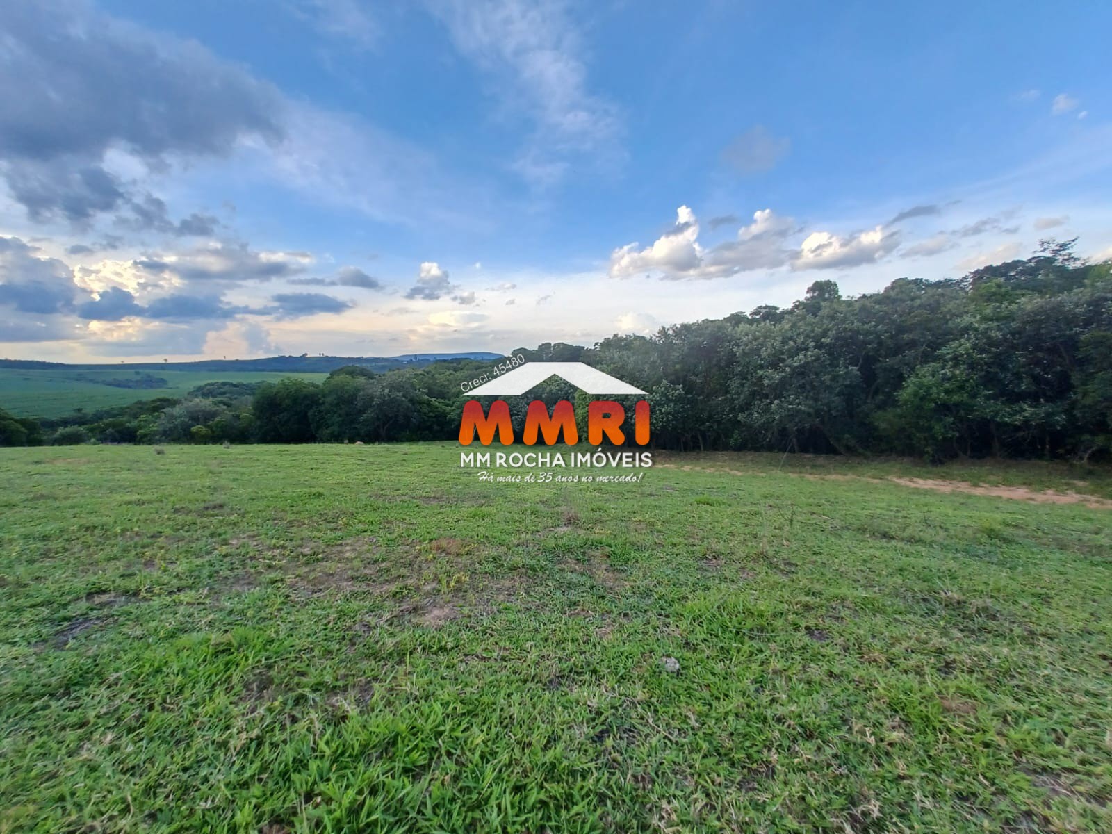 Haras e Área Rural Padrão à venda, 55000m² - Foto 12