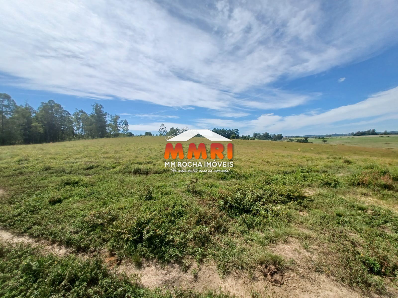 Haras e Área Rural Padrão à venda, 162000m² - Foto 4