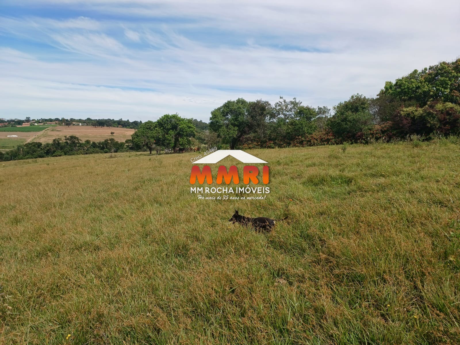 Haras e Área Rural Padrão à venda, 162000m² - Foto 12