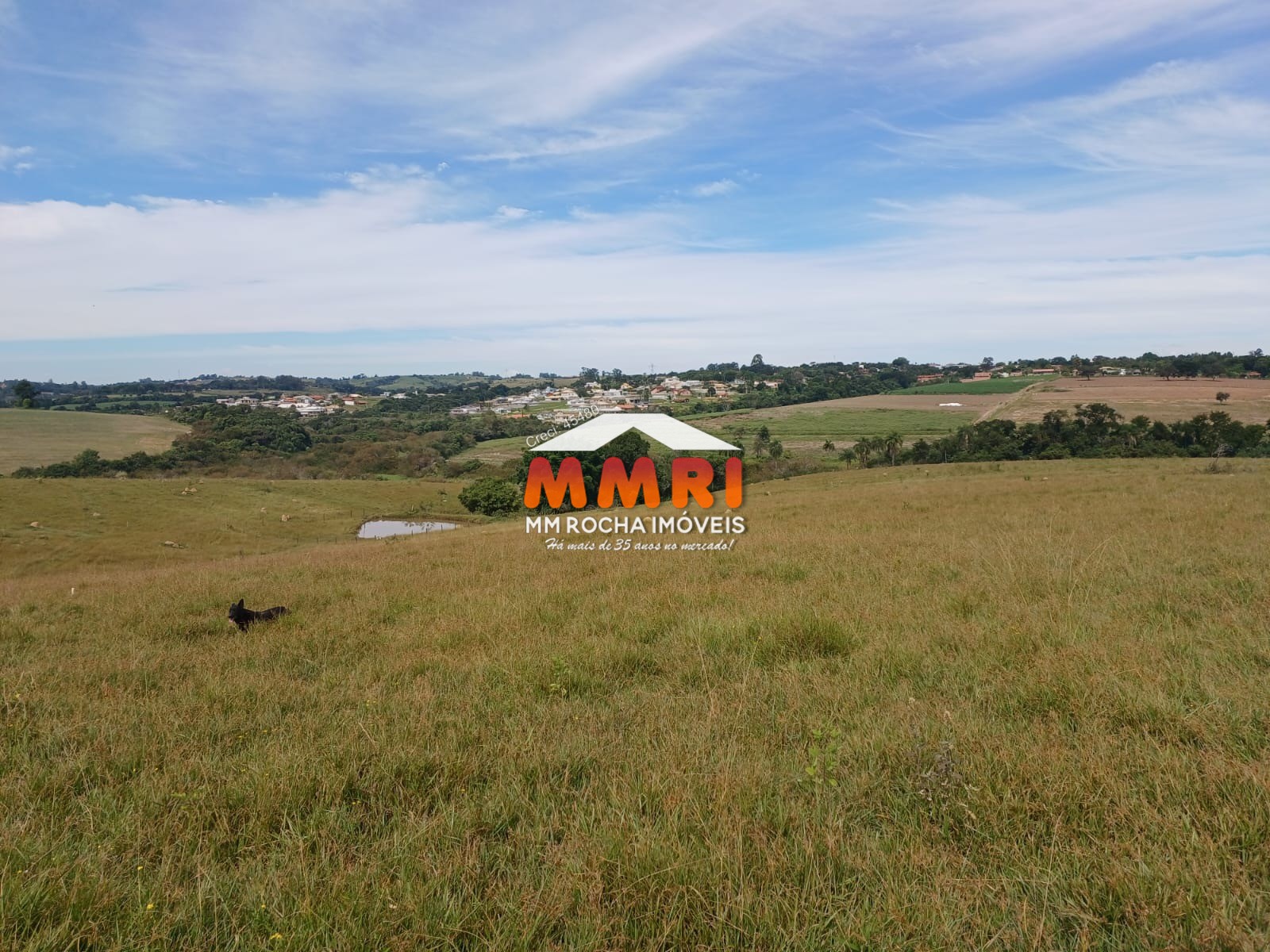 Haras e Área Rural Padrão à venda, 162000m² - Foto 11