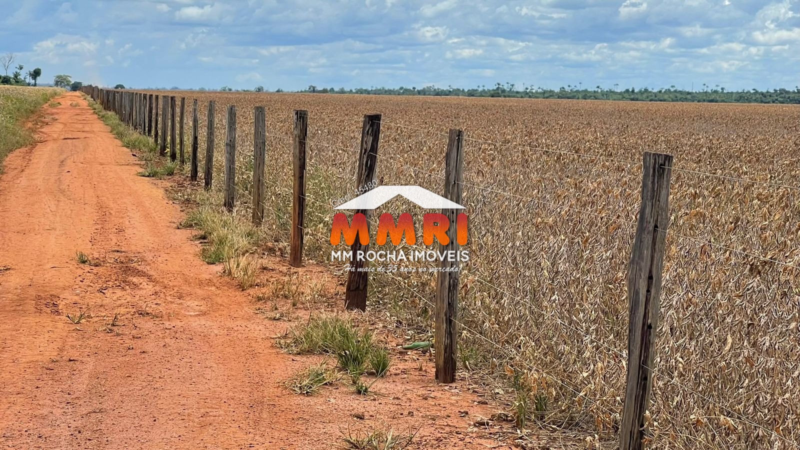 Fazenda à venda, 65000m² - Foto 27