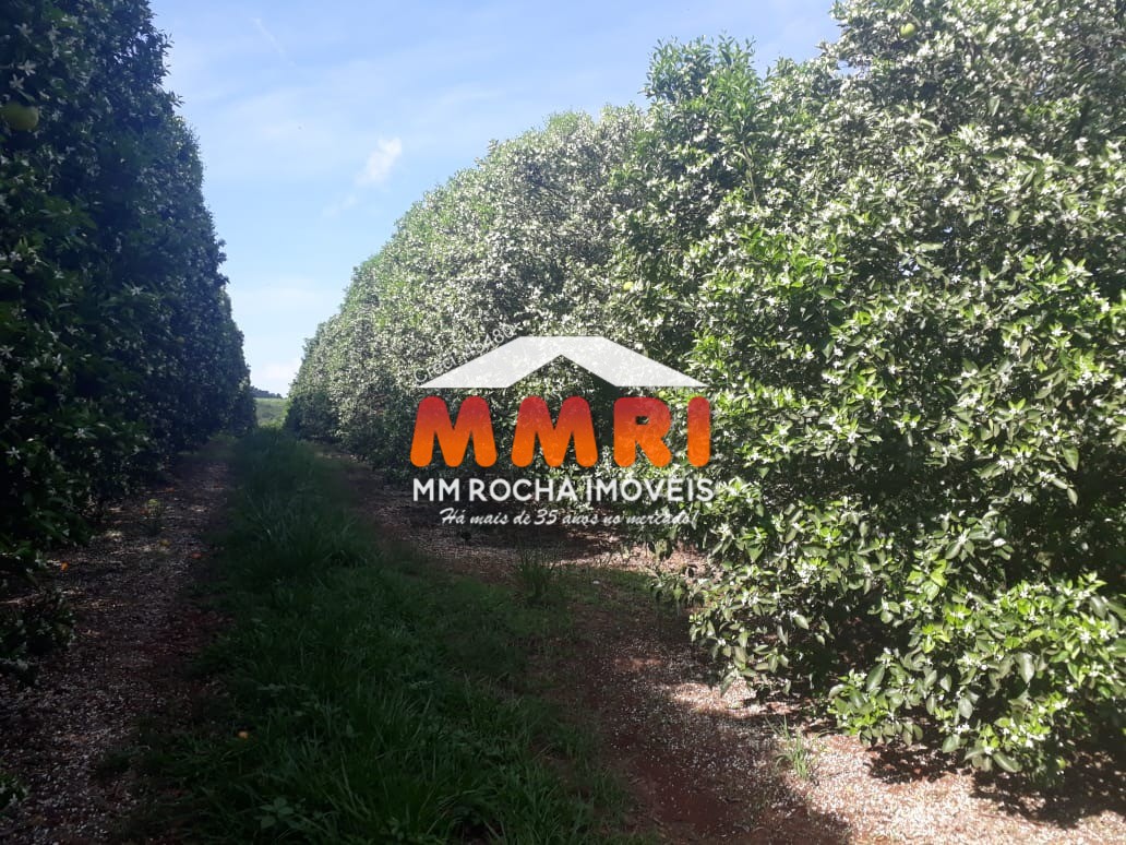 Fazenda, 953 m² - Foto 9