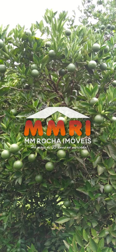 Fazenda, 953 m² - Foto 7