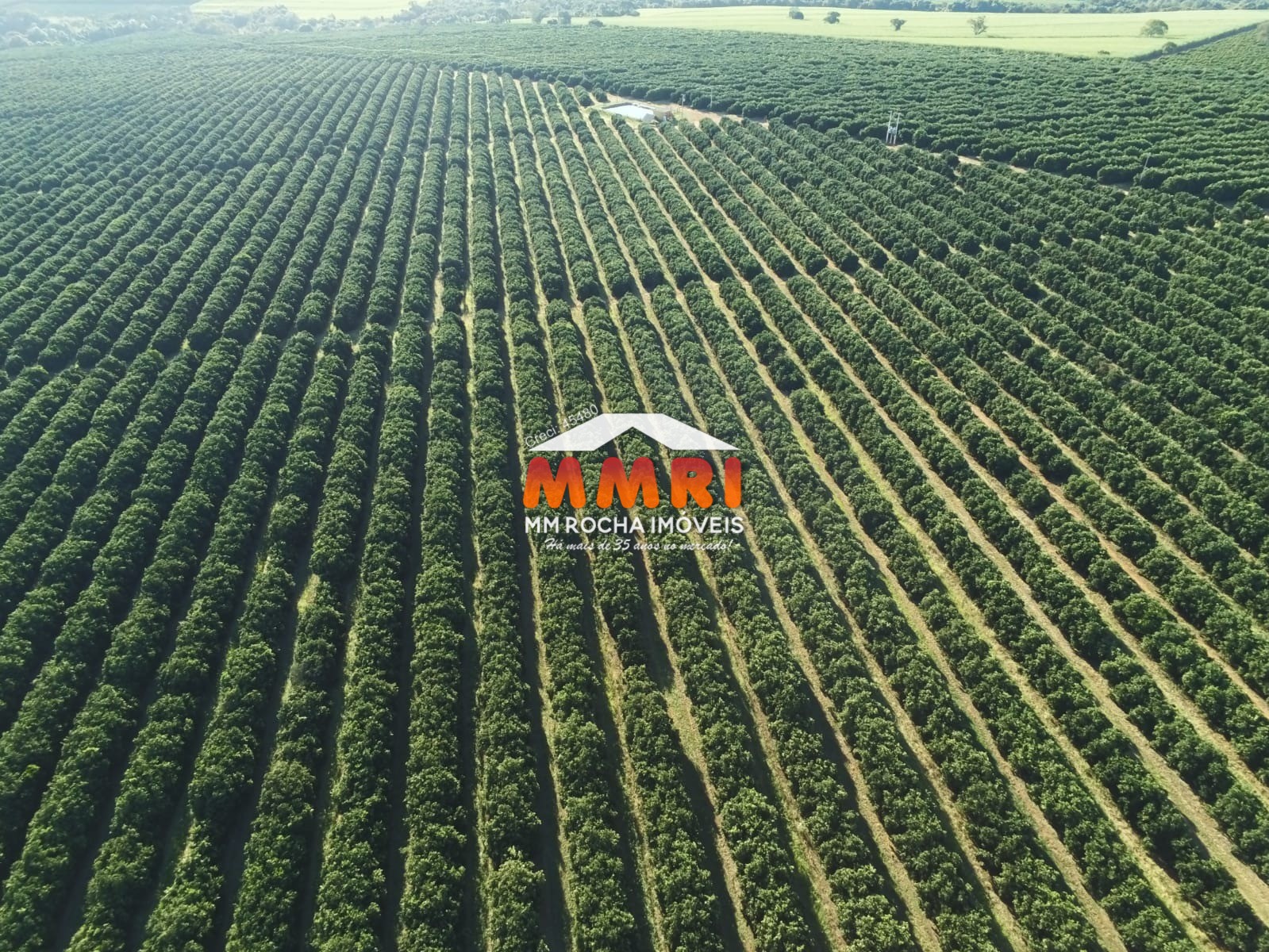 Fazenda, 953 m² - Foto 17