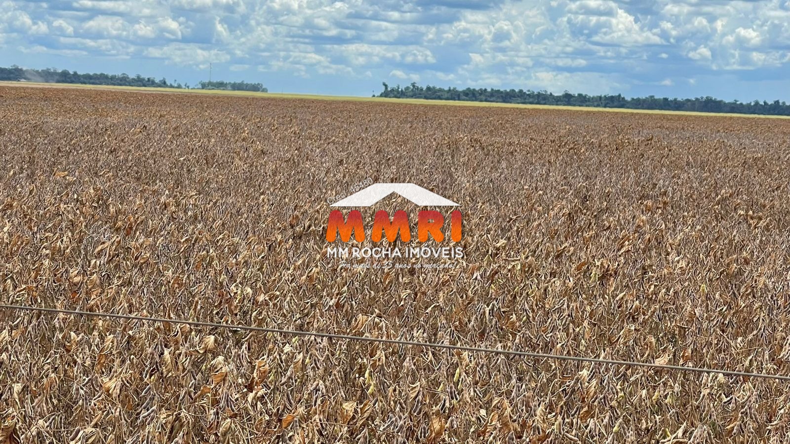 Fazenda à venda, 65000m² - Foto 20