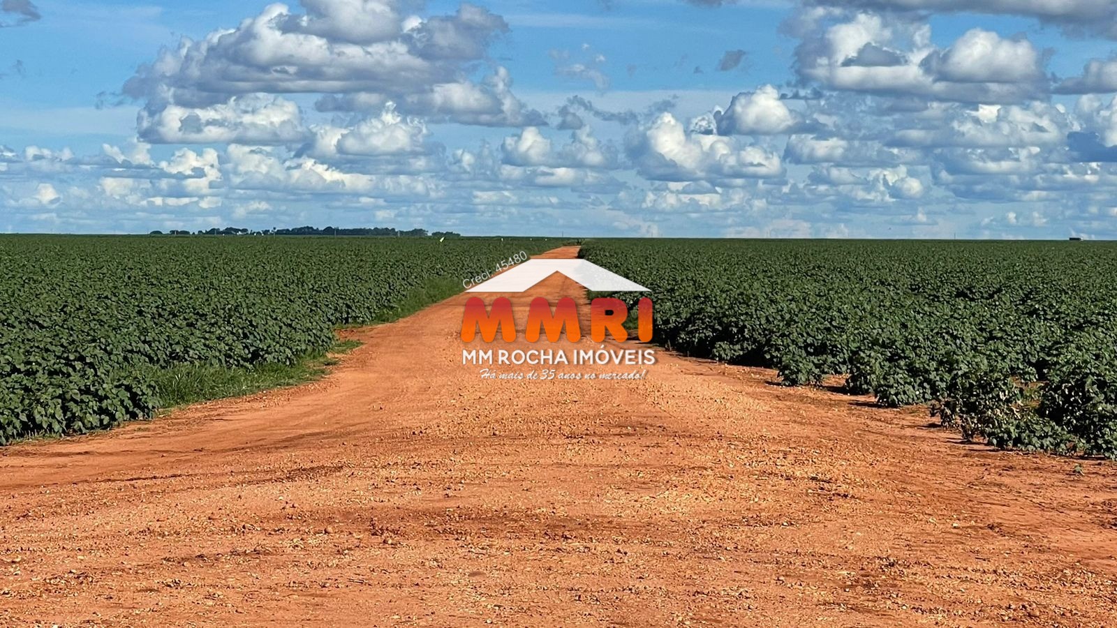 Fazenda à venda, 65000m² - Foto 14