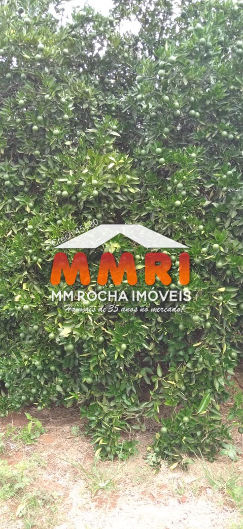 Fazenda, 953 m² - Foto 20