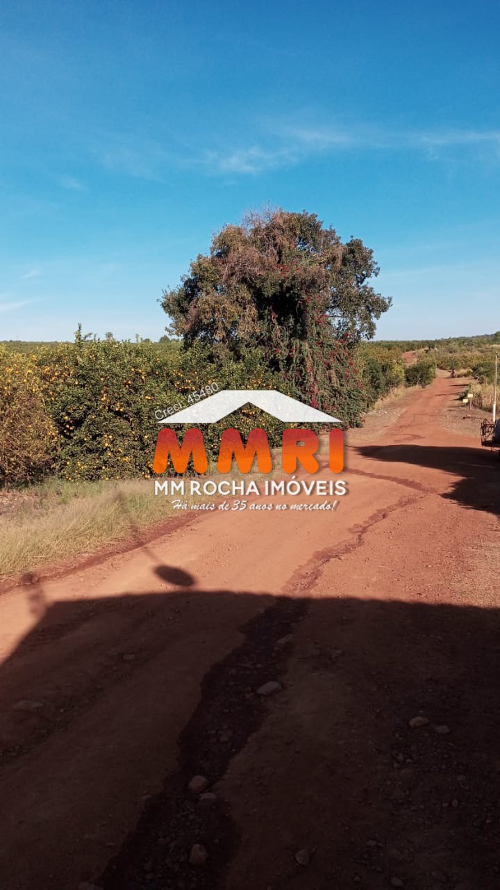 Fazenda, 953 m² - Foto 12