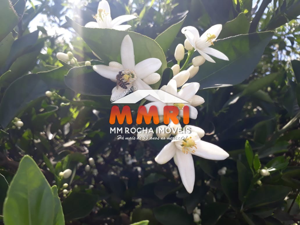 Fazenda, 953 m² - Foto 23