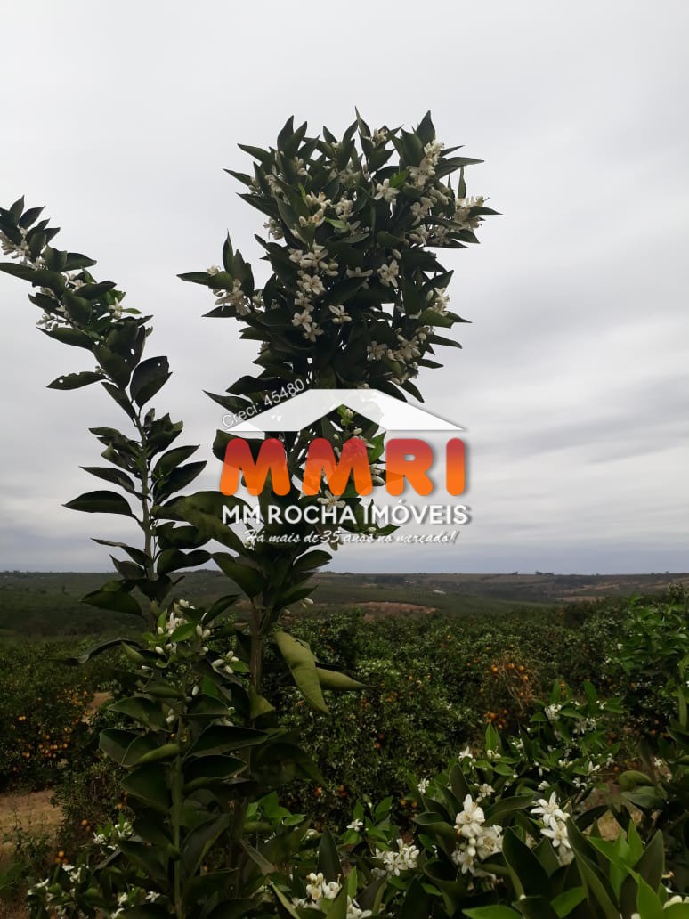 Fazenda, 953 m² - Foto 14