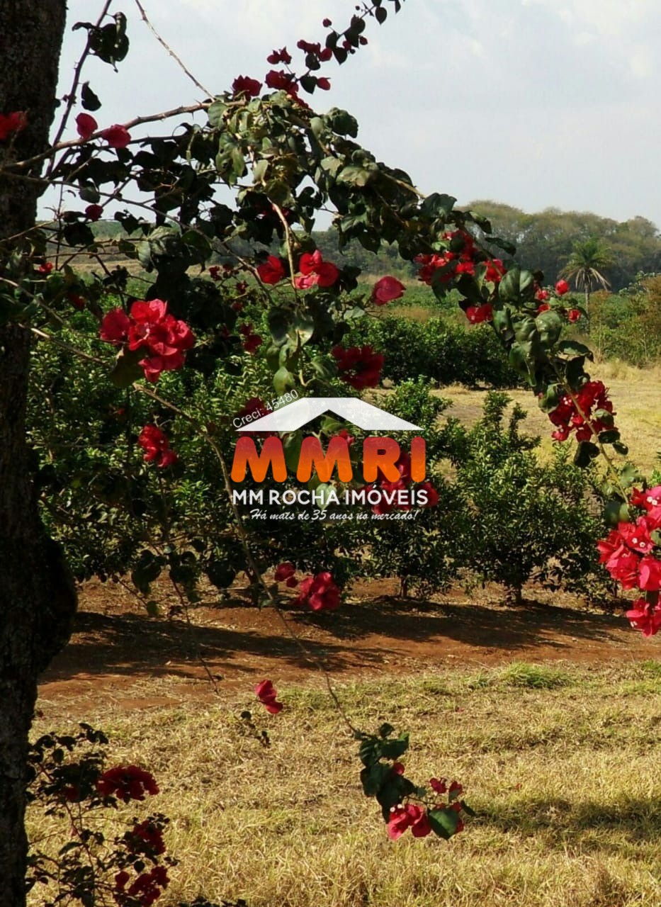 Fazenda, 953 m² - Foto 24