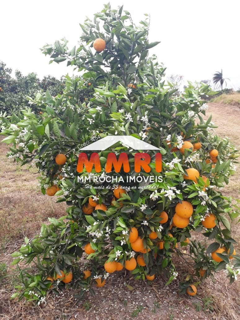 Fazenda, 953 m² - Foto 27