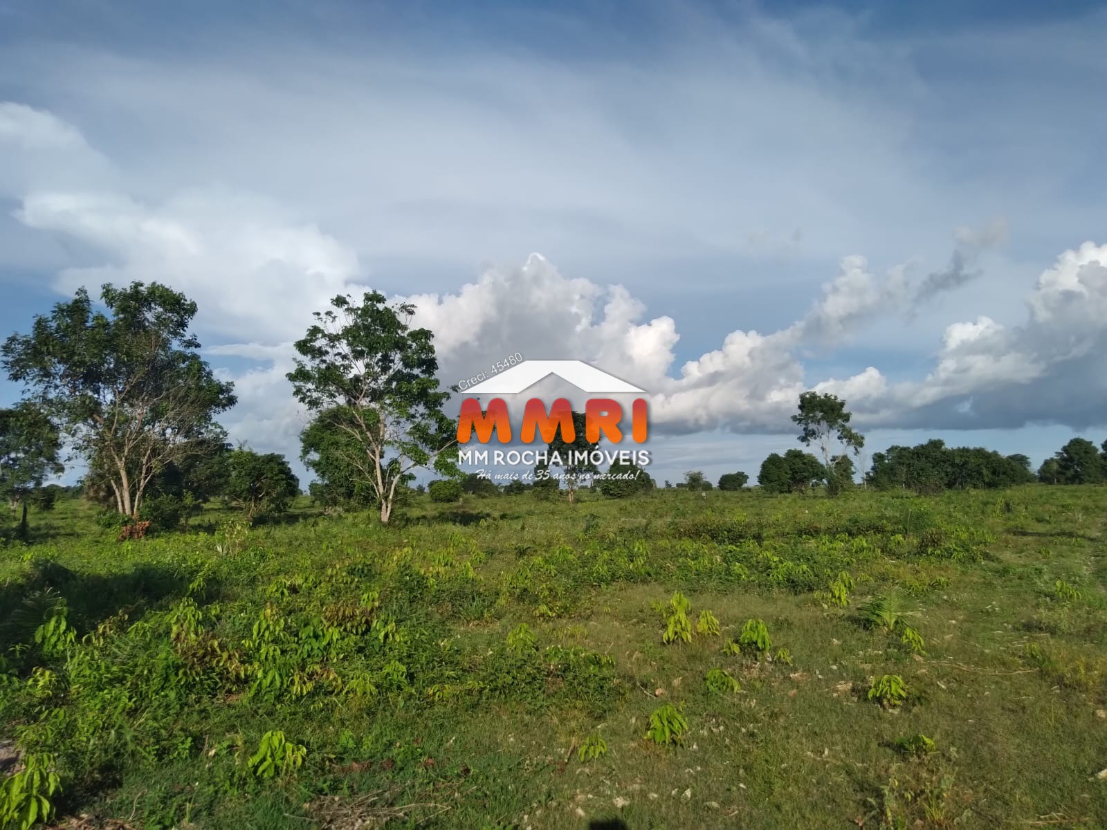 Fazenda, 1 hectares - Foto 5