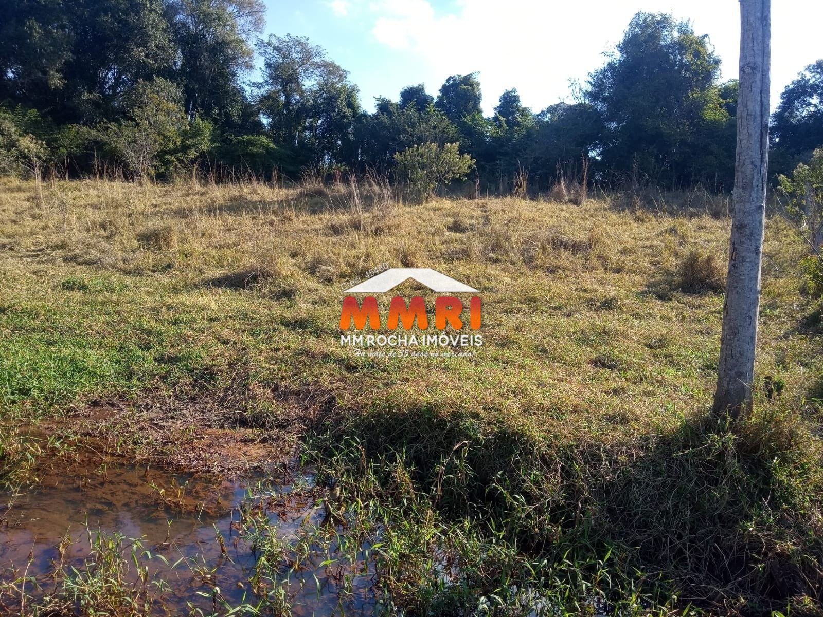 Terreno à venda, 12000m² - Foto 4