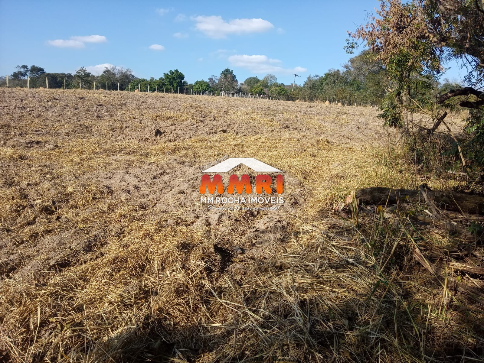 Terreno à venda, 12000m² - Foto 2