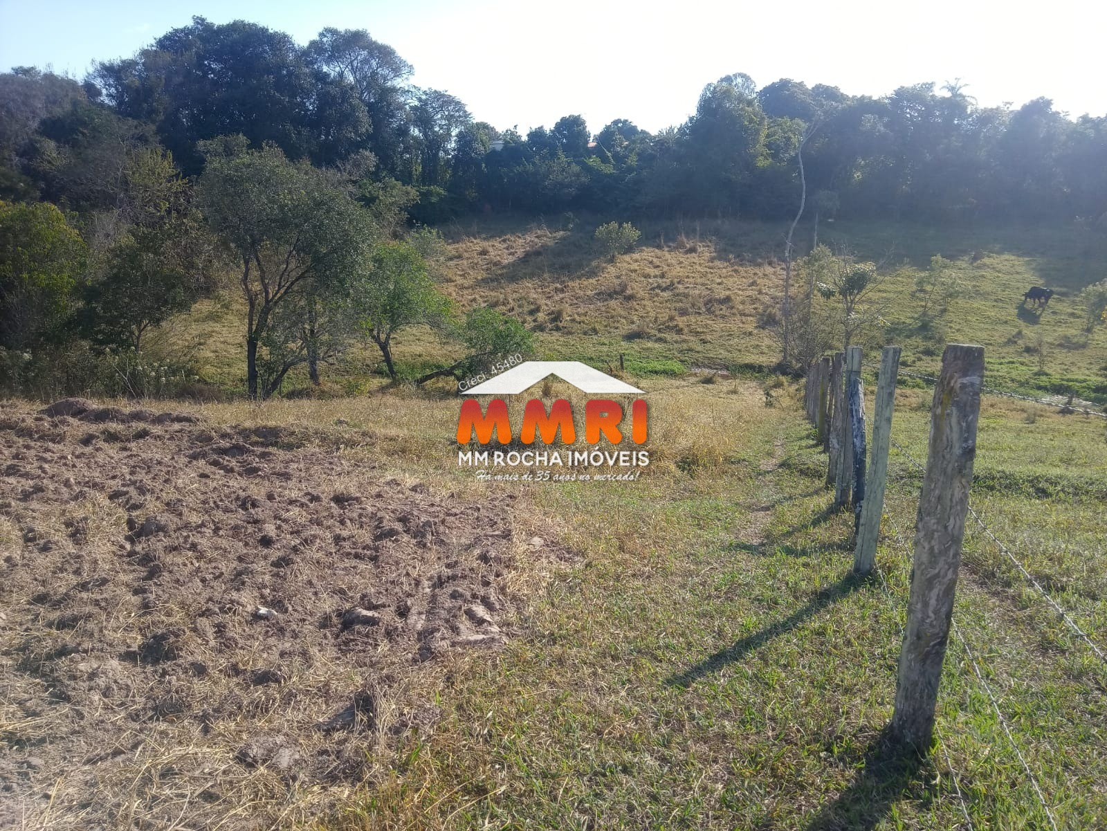 Terreno à venda, 12000m² - Foto 14