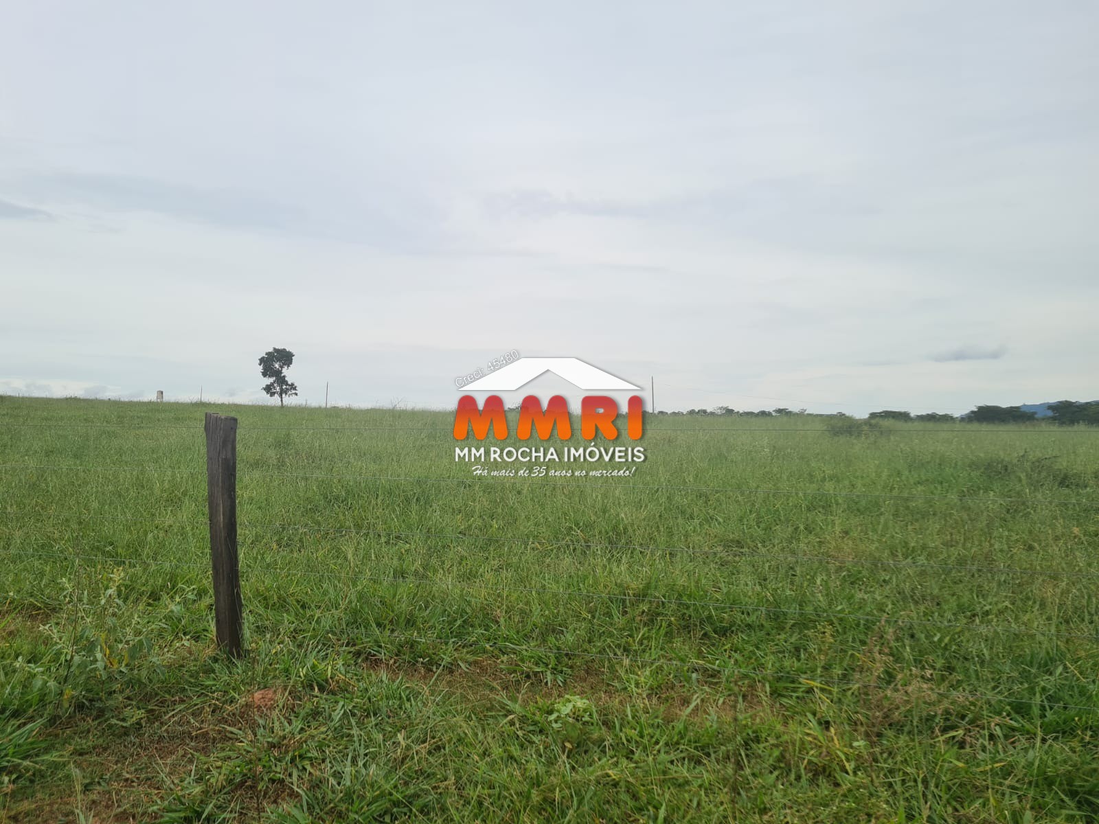 Fazenda, 1 hectares - Foto 27