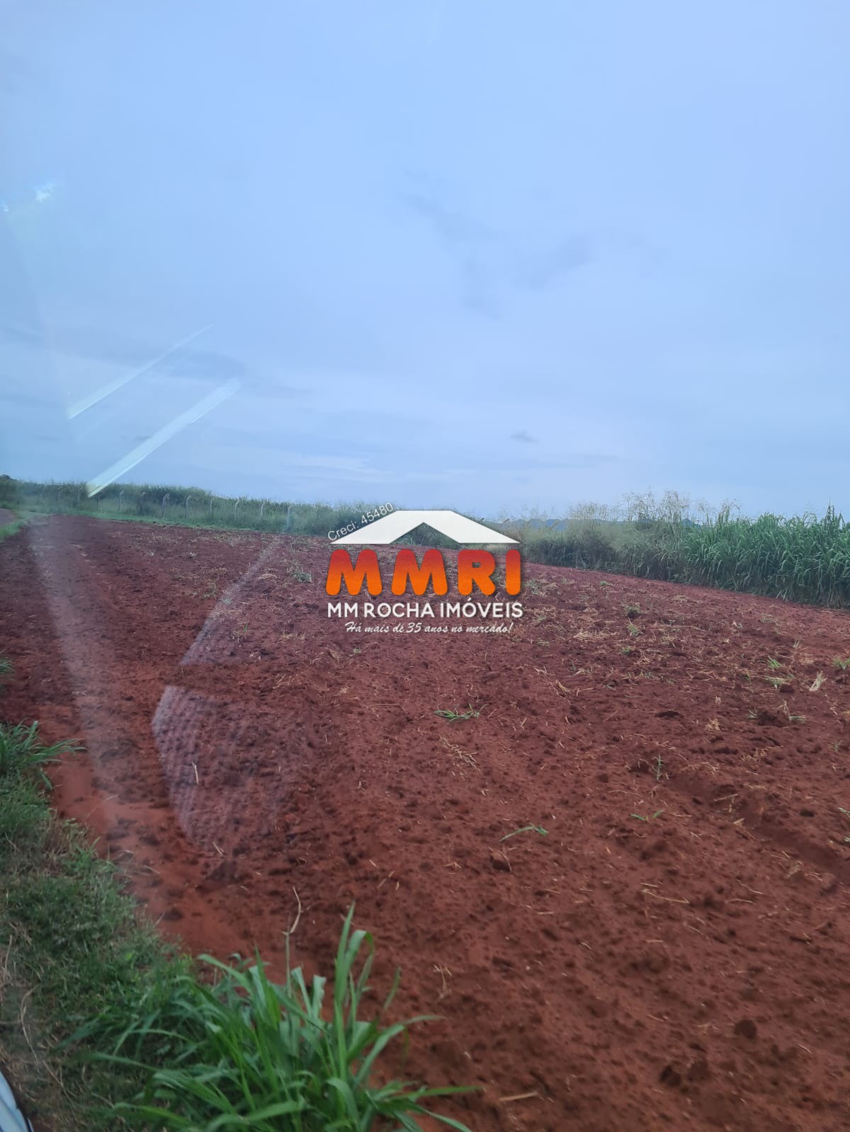 Fazenda, 1 hectares - Foto 30