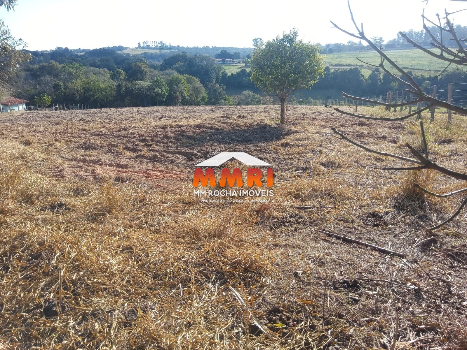 Terreno à venda, 12000m² - Foto 6