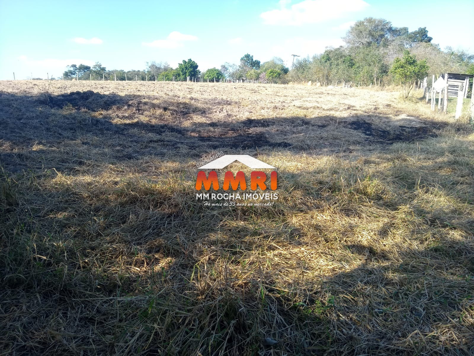 Terreno à venda, 12000m² - Foto 10