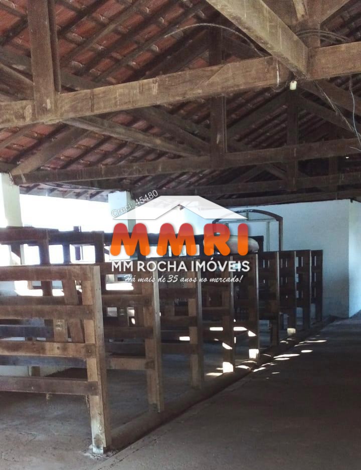 Haras e Área Rural Padrão à venda com 16 quartos, 30m² - Foto 61