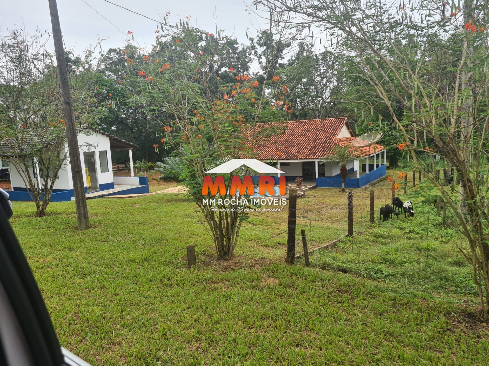 Fazenda, 1 hectares - Foto 9