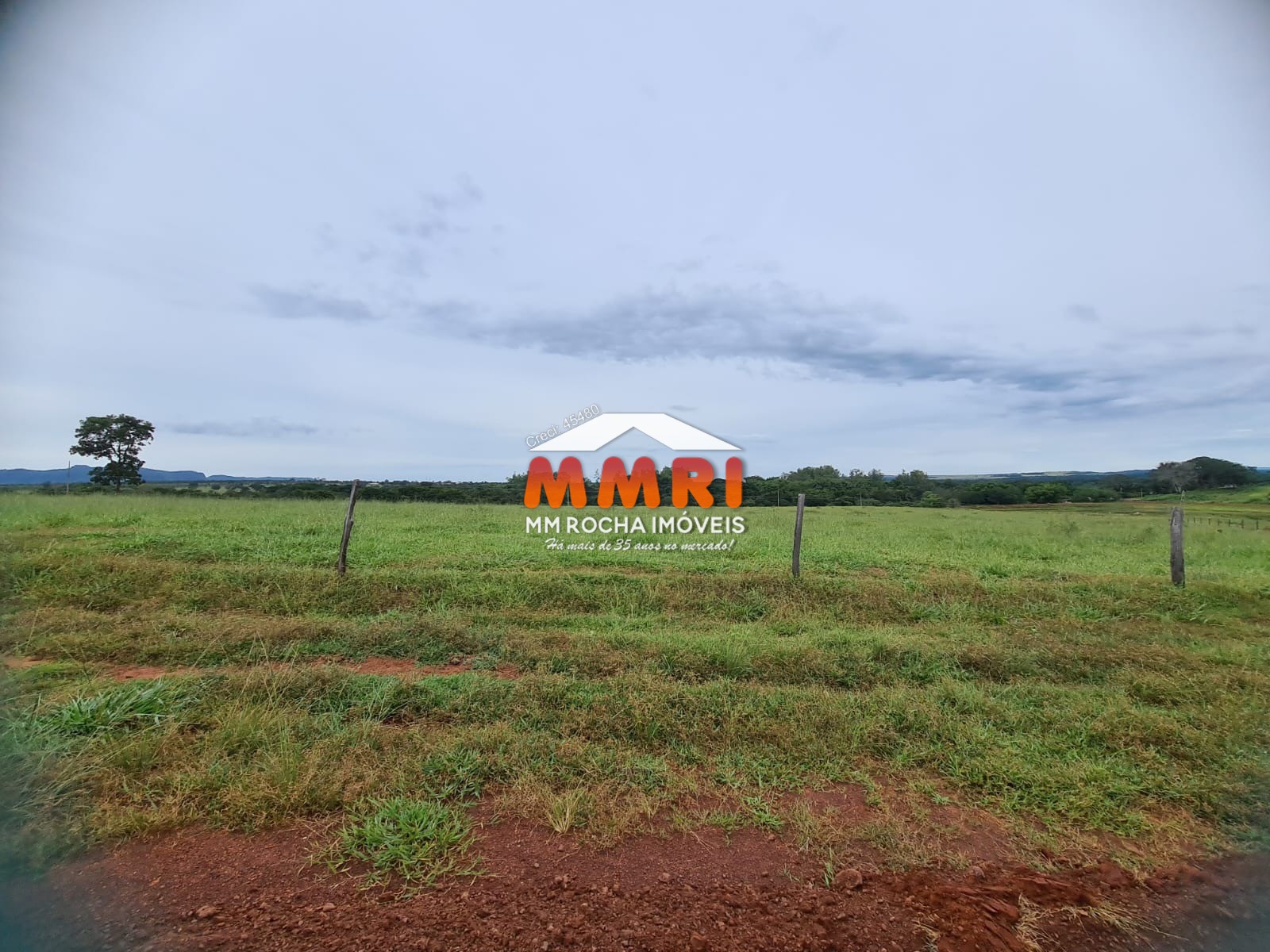 Fazenda, 1 hectares - Foto 29