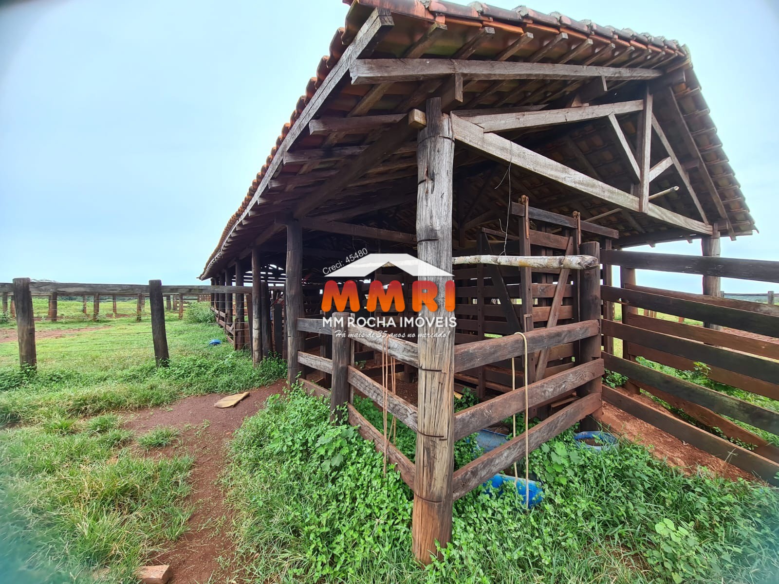 Fazenda, 1 hectares - Foto 13