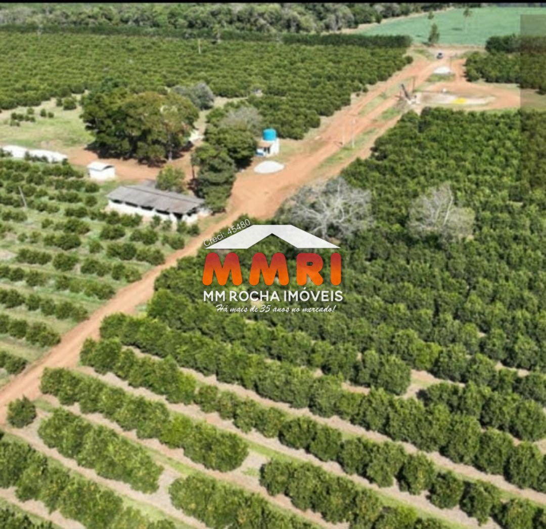 Fazenda à venda, 170m² - Foto 9