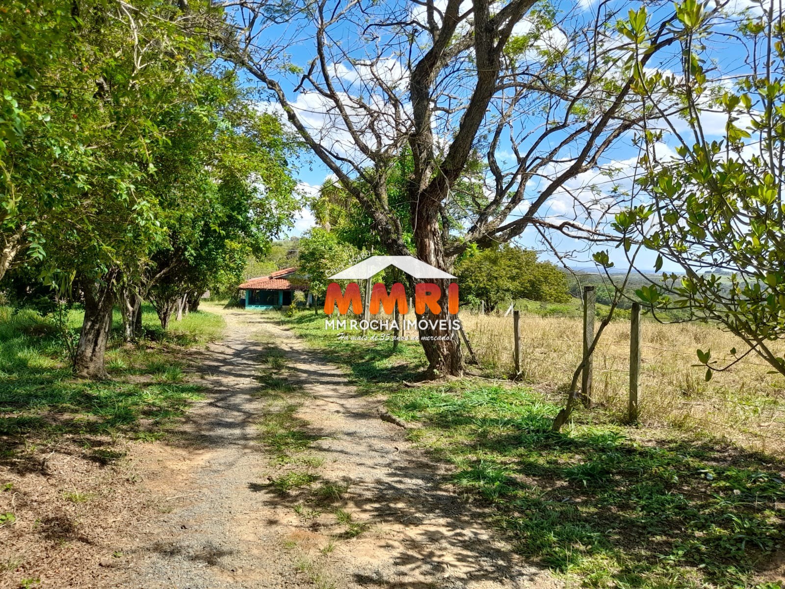 Sítio à venda com 2 quartos, 24200m² - Foto 5