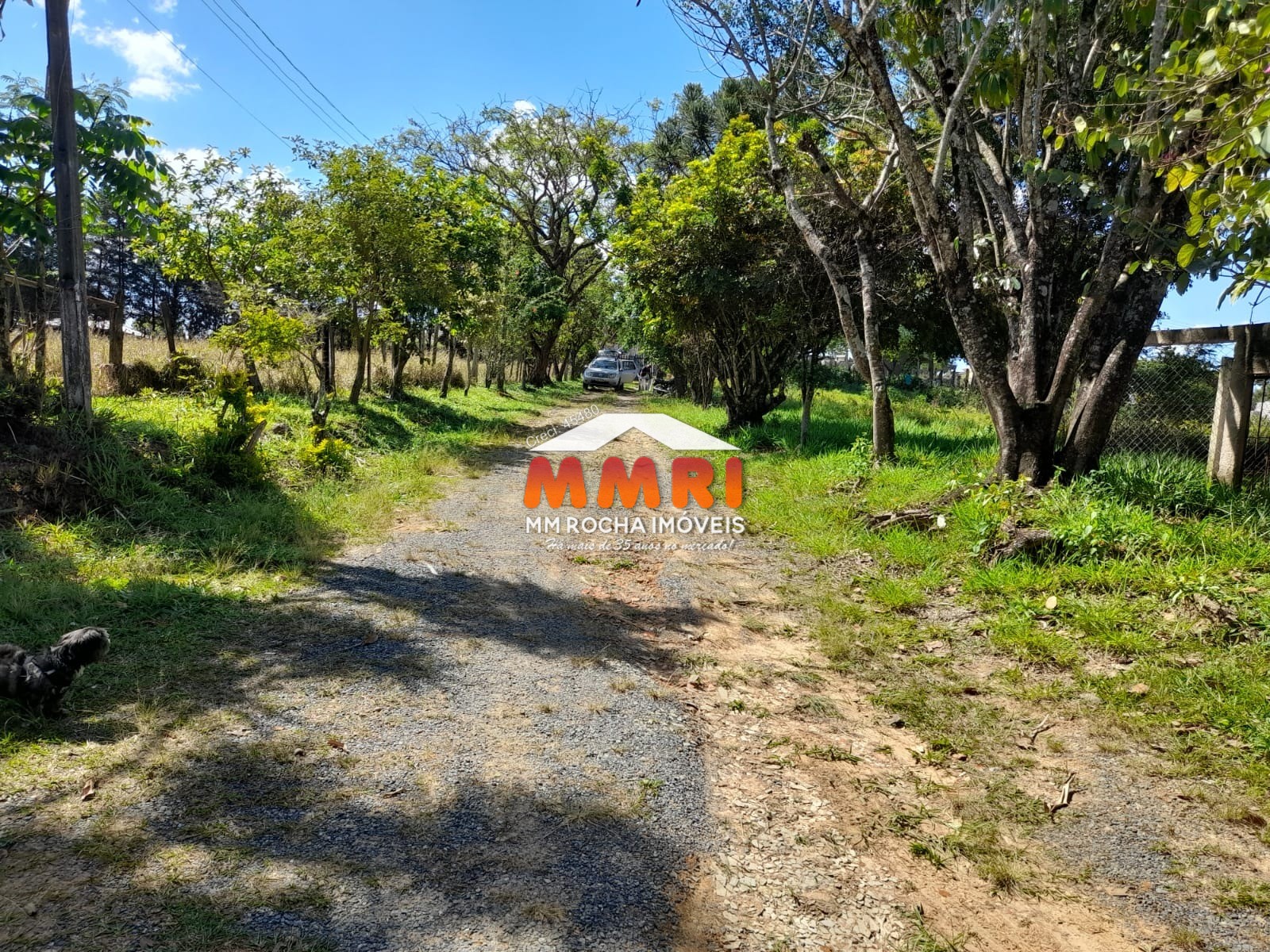 Sítio à venda com 2 quartos, 24200m² - Foto 8