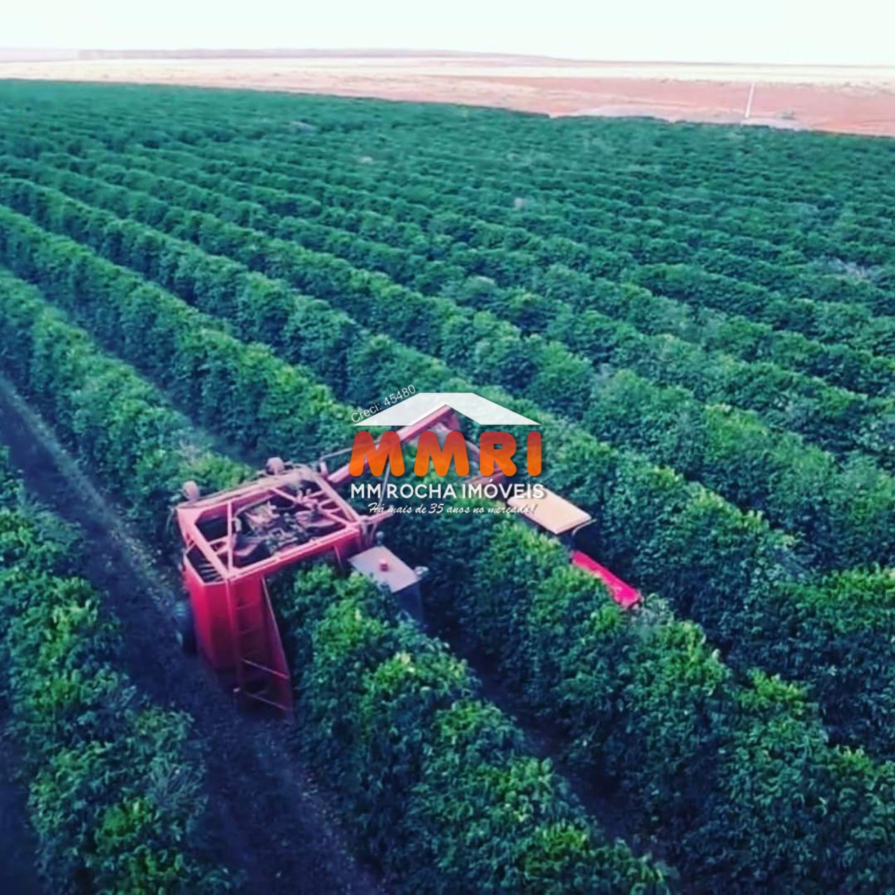 Fazenda à venda - Foto 6