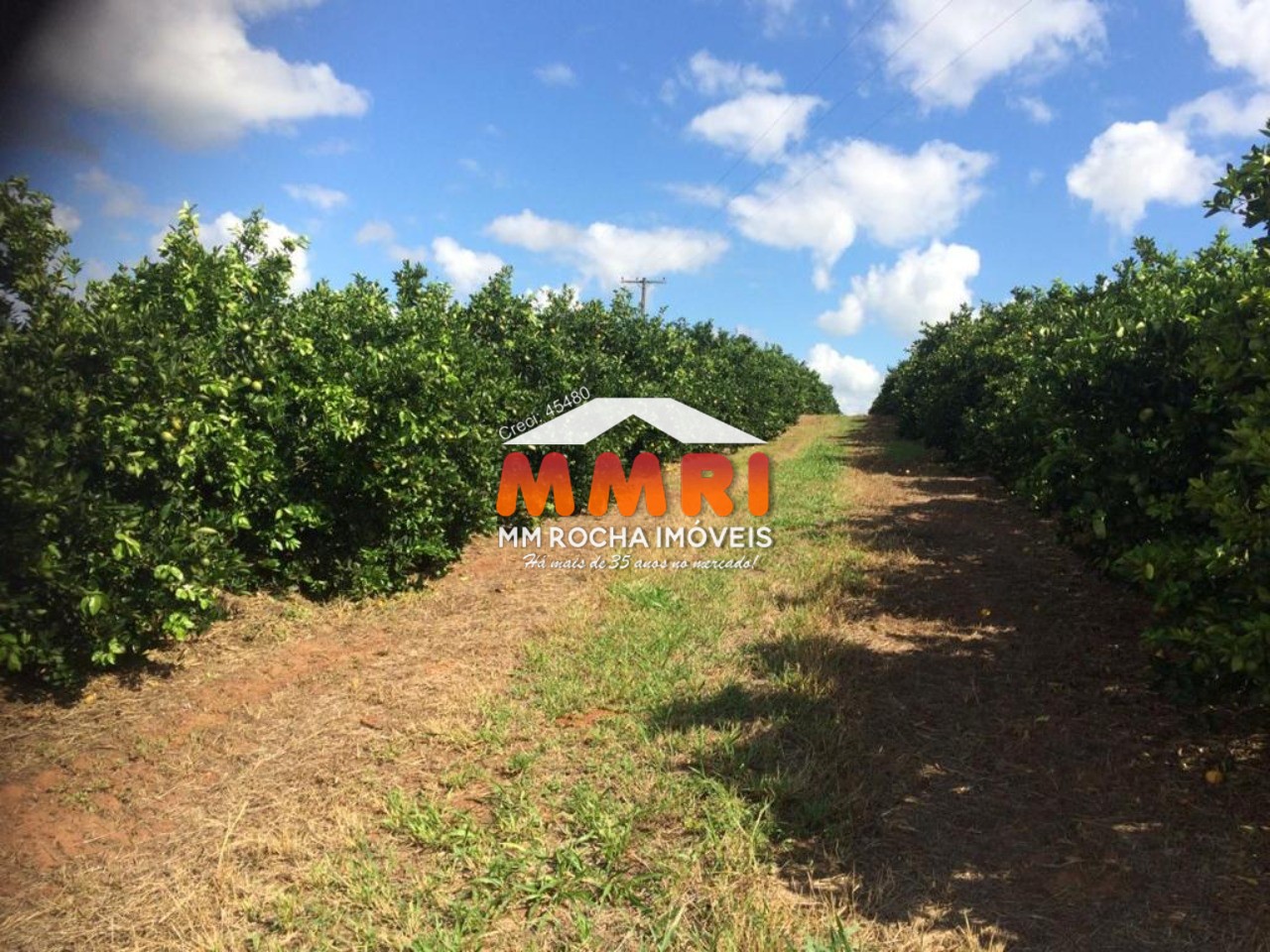 Fazenda à venda com 1 quarto - Foto 2