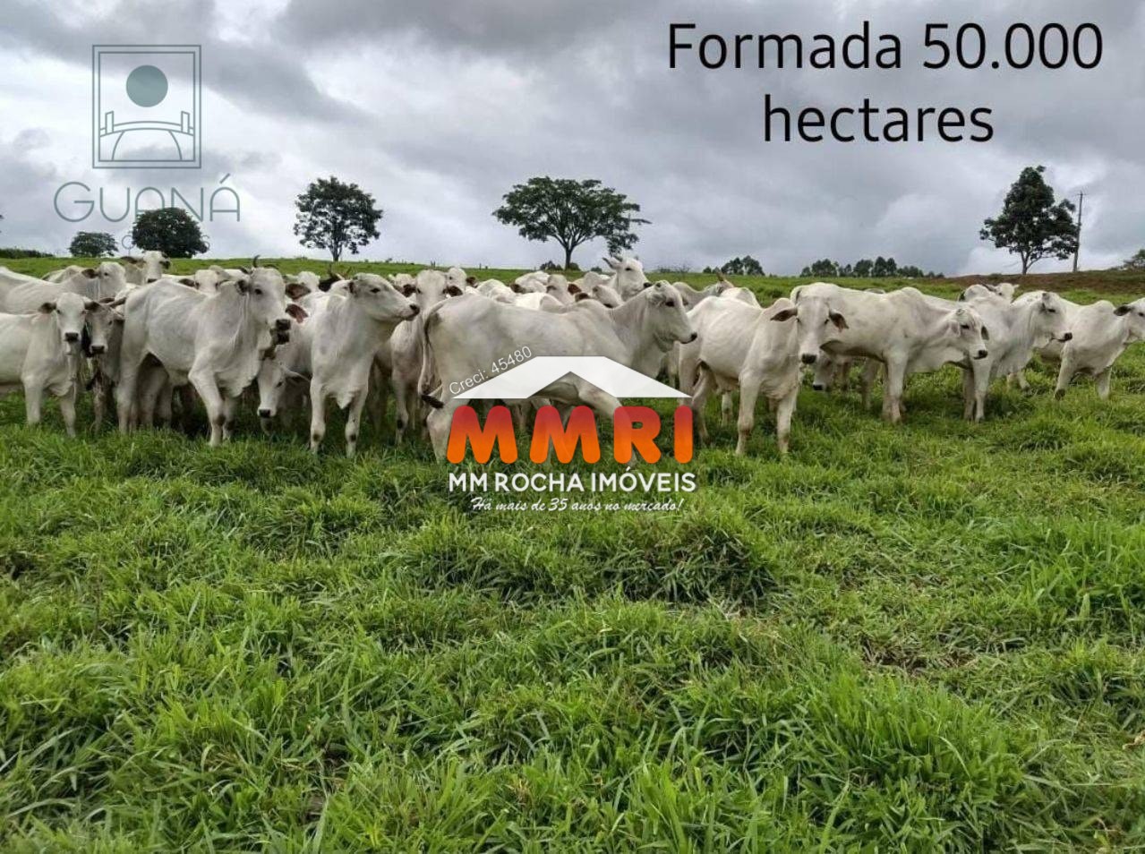 Fazenda à venda, 93290m² - Foto 26