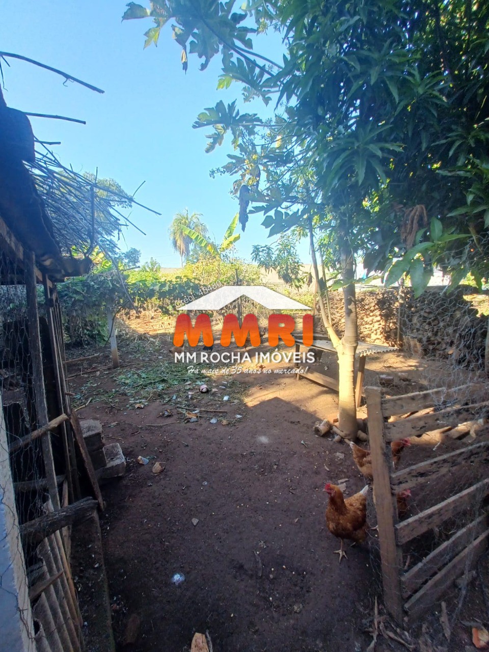 Chácara à venda com 5 quartos - Foto 4