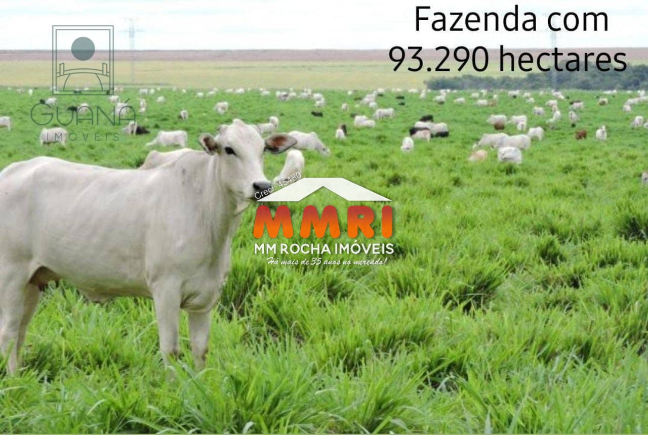 Fazenda à venda, 93290m² - Foto 21