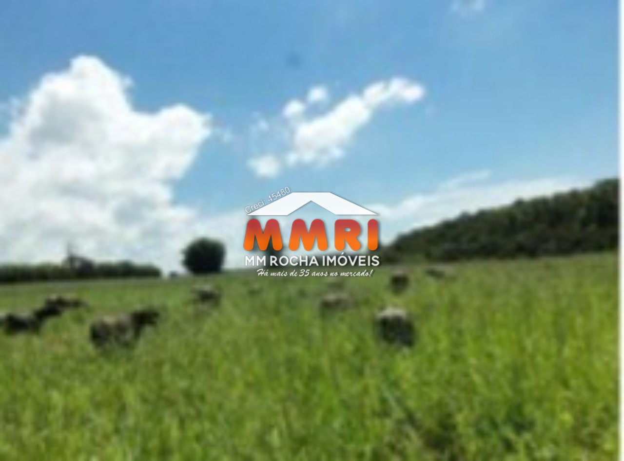 Fazenda à venda com 1 quarto, 123m² - Foto 41