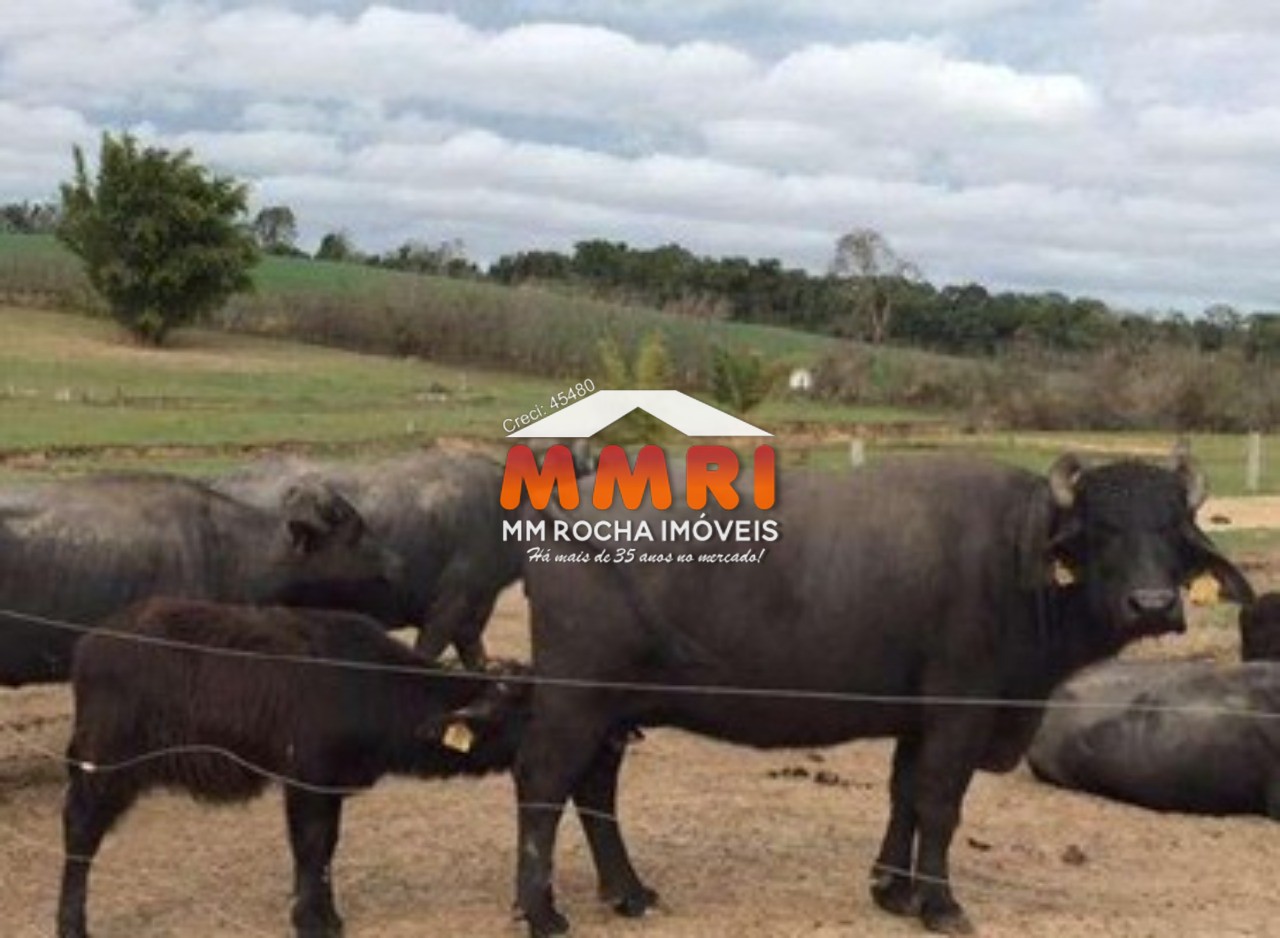 Fazenda à venda com 1 quarto, 123m² - Foto 5