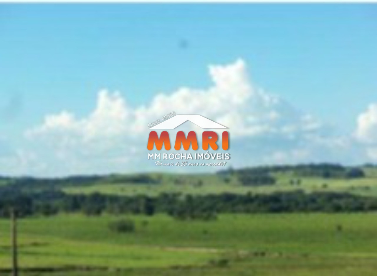 Fazenda à venda com 1 quarto, 123m² - Foto 54