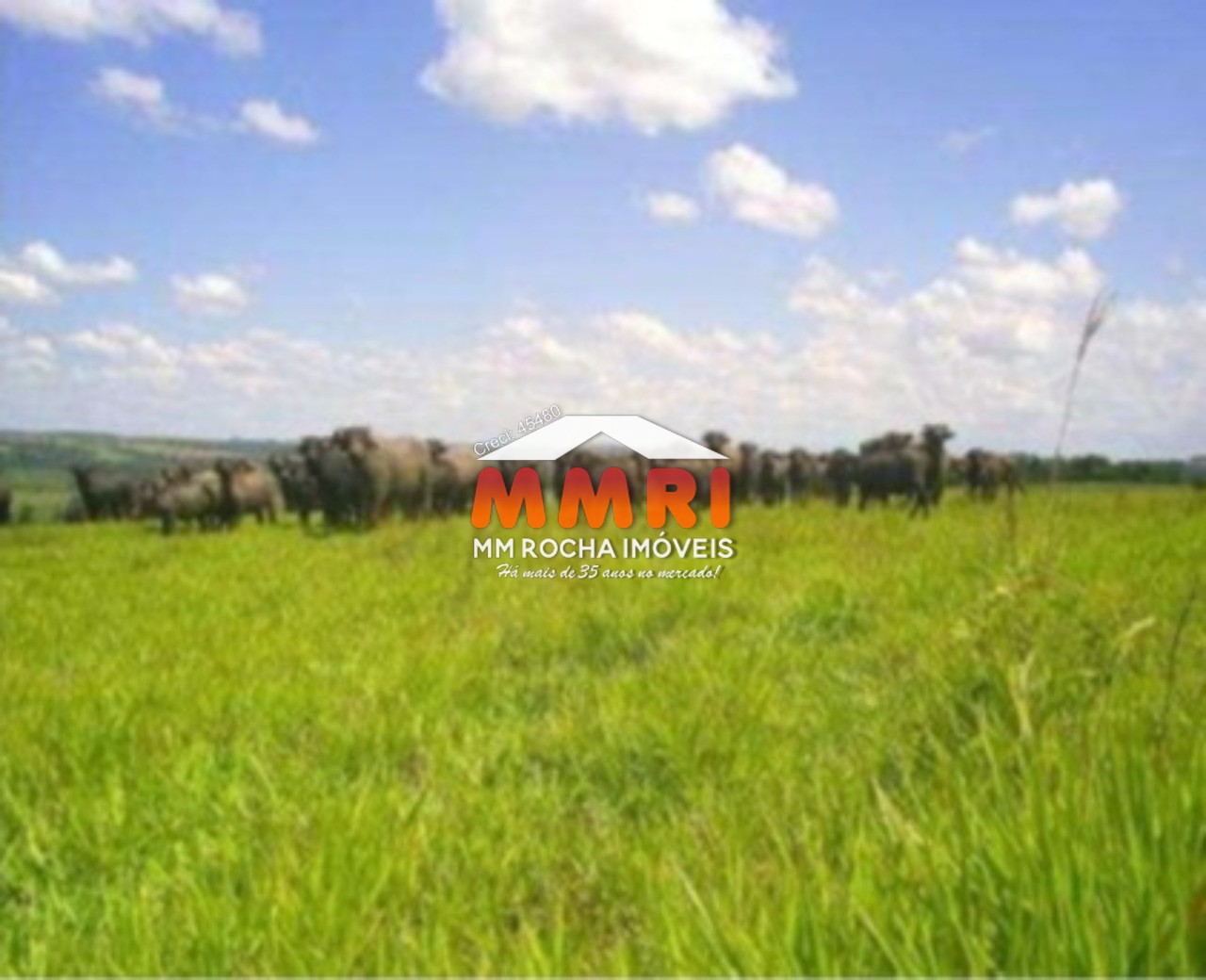 Fazenda à venda com 1 quarto, 123m² - Foto 23