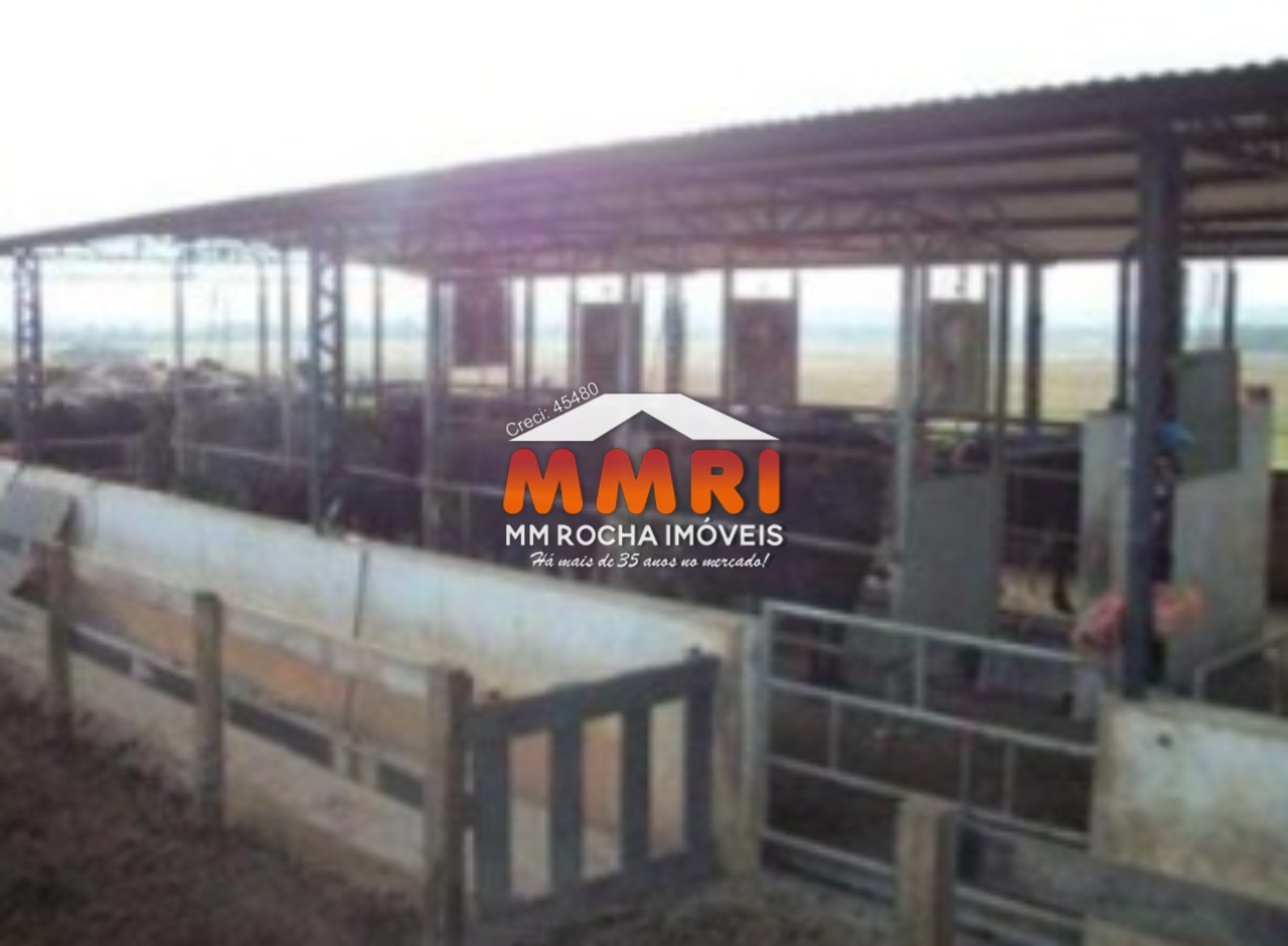 Fazenda à venda com 1 quarto, 123m² - Foto 38