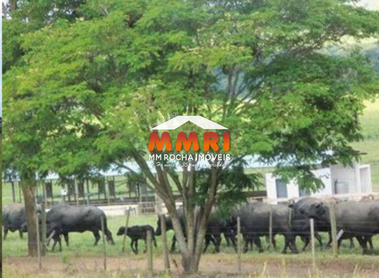 Fazenda à venda com 1 quarto, 123m² - Foto 2