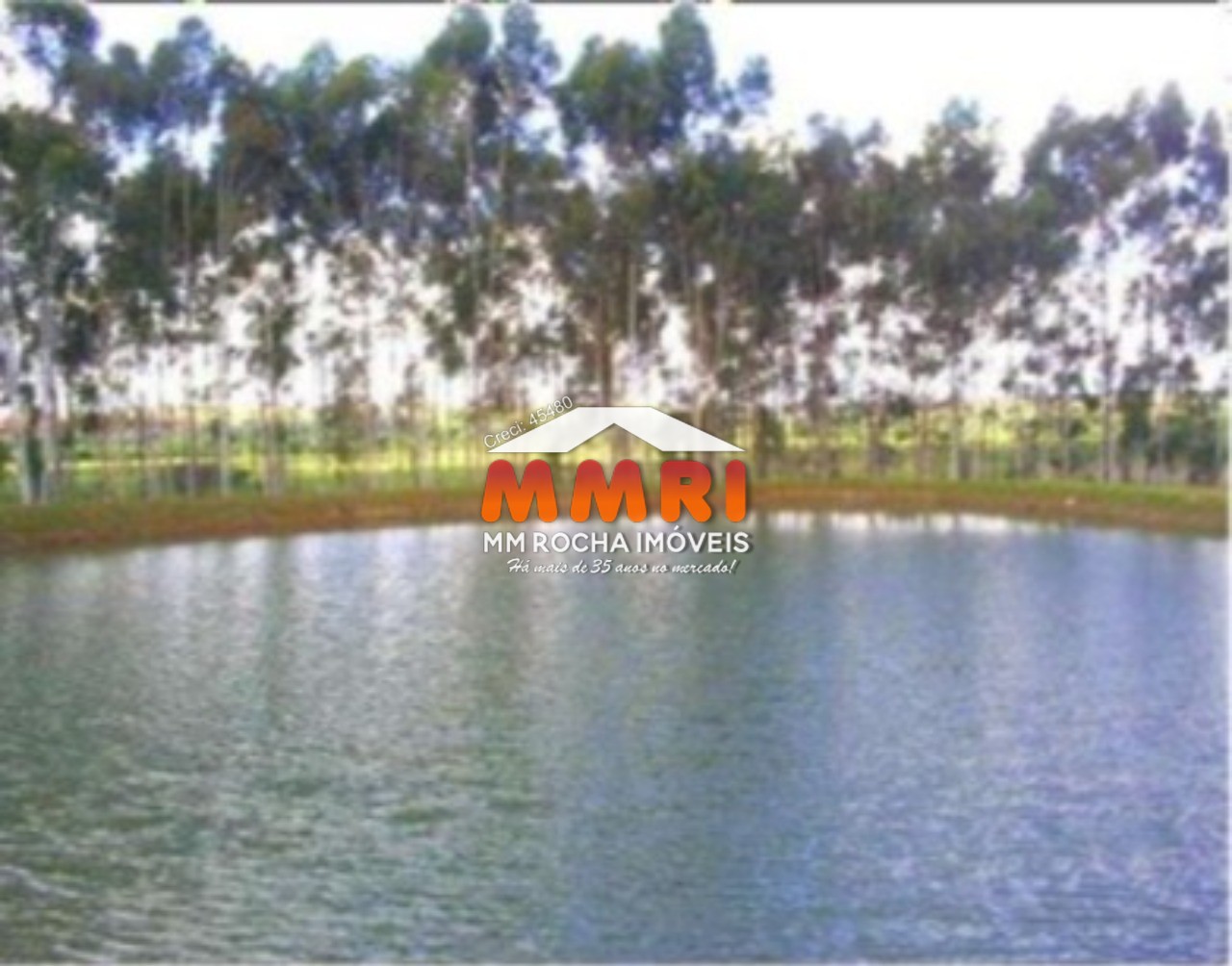 Fazenda à venda com 1 quarto, 123m² - Foto 24
