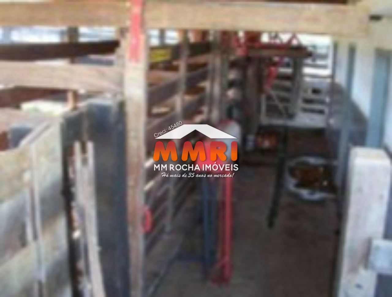 Fazenda à venda com 1 quarto, 123m² - Foto 53