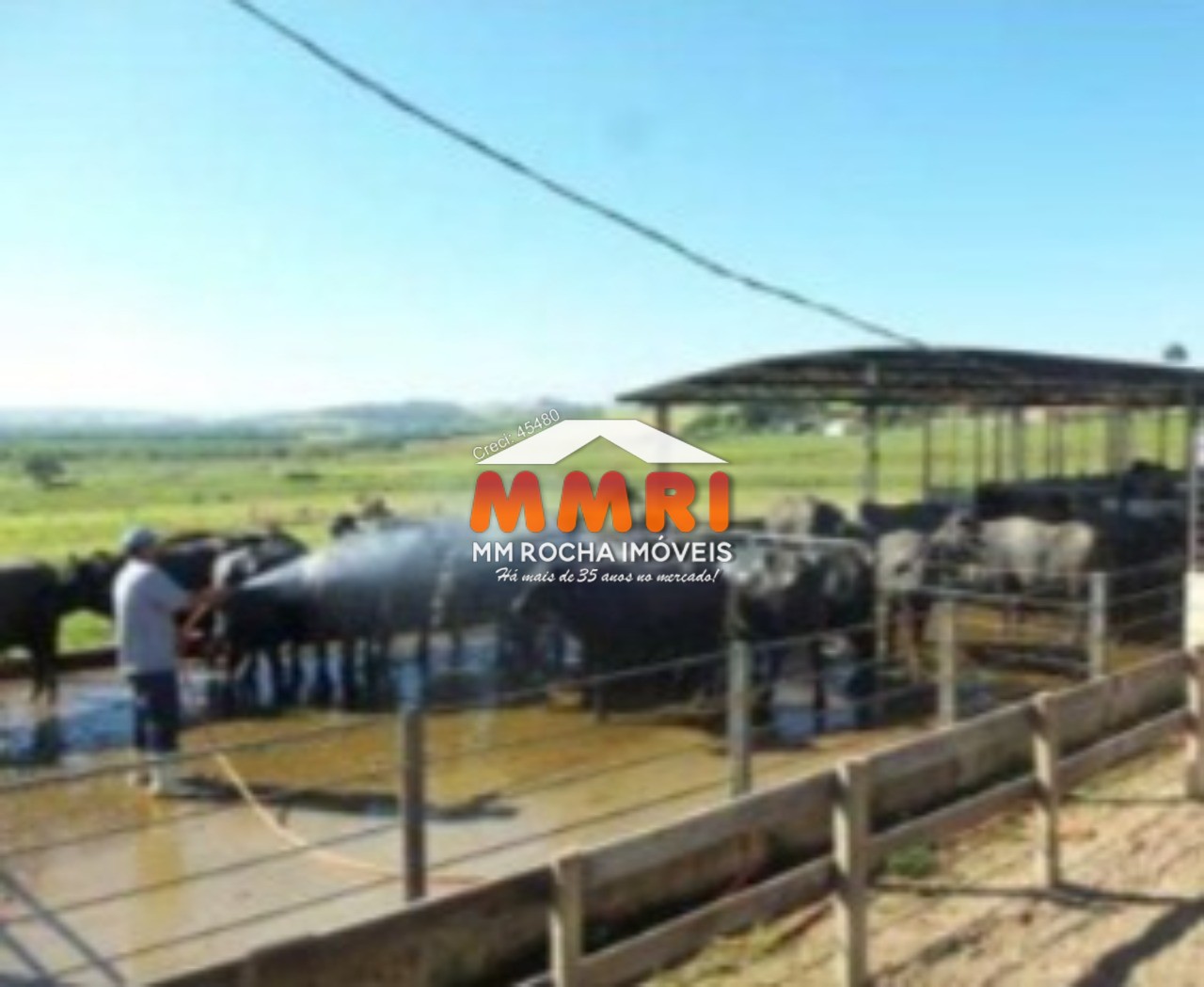 Fazenda à venda com 1 quarto, 123m² - Foto 36